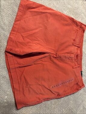 American Eagle Outfitters Men's Rust Orange Flat Front Shorts
